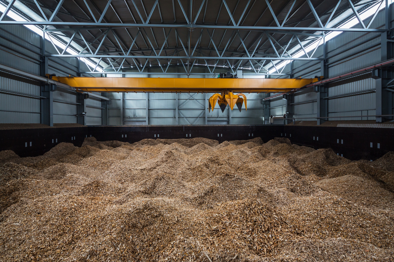 Renewables / Biomass