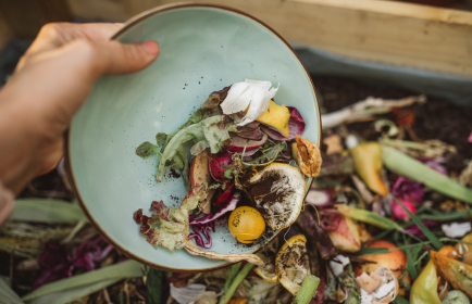 Food Waste
