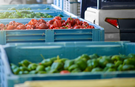 Fresh Food