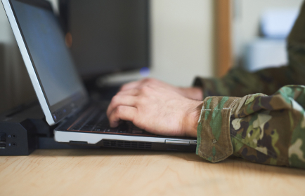 Public Sector and Defense
