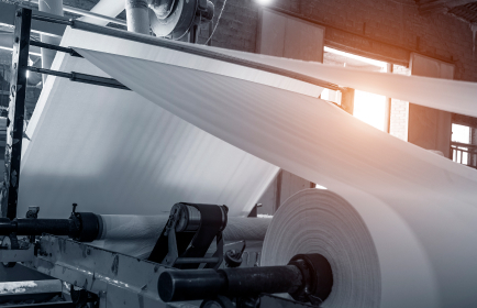 Paper, Pulp, and Printing