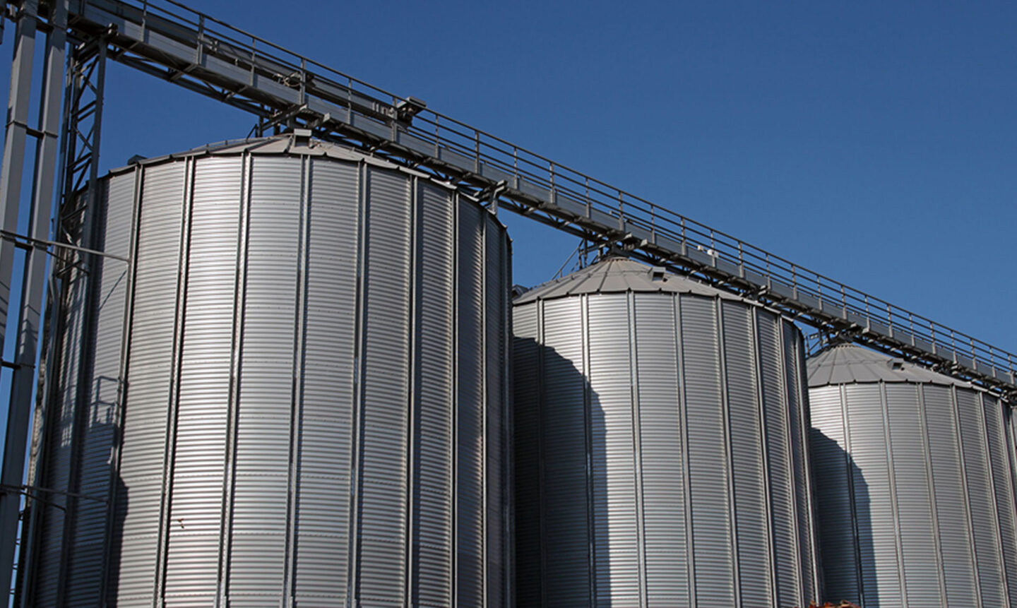 Colombia Feed Mill Improves Savings and Enhances Product Quality with Avery Weigh-Tronix Indicators